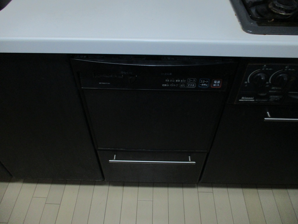 NP-P45X1P1AA