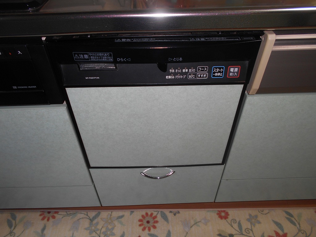 NP-P45X1P1AA