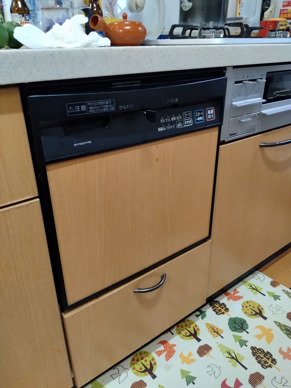 NP-P45X1P1TM